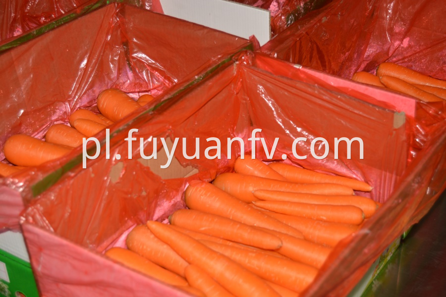 carrot in package